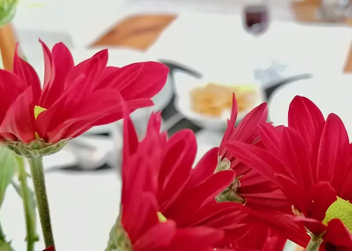 Americas Lägenhet *