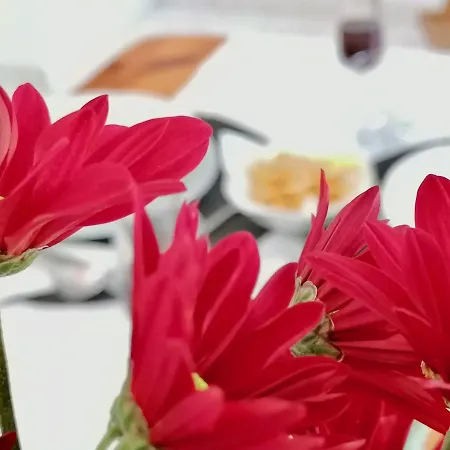 Americas 아파트 *