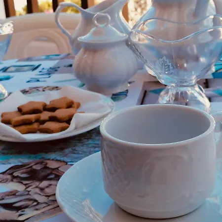 Americas 플라야데라스아메리카스